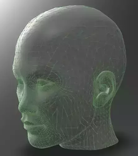 Solid female head 3