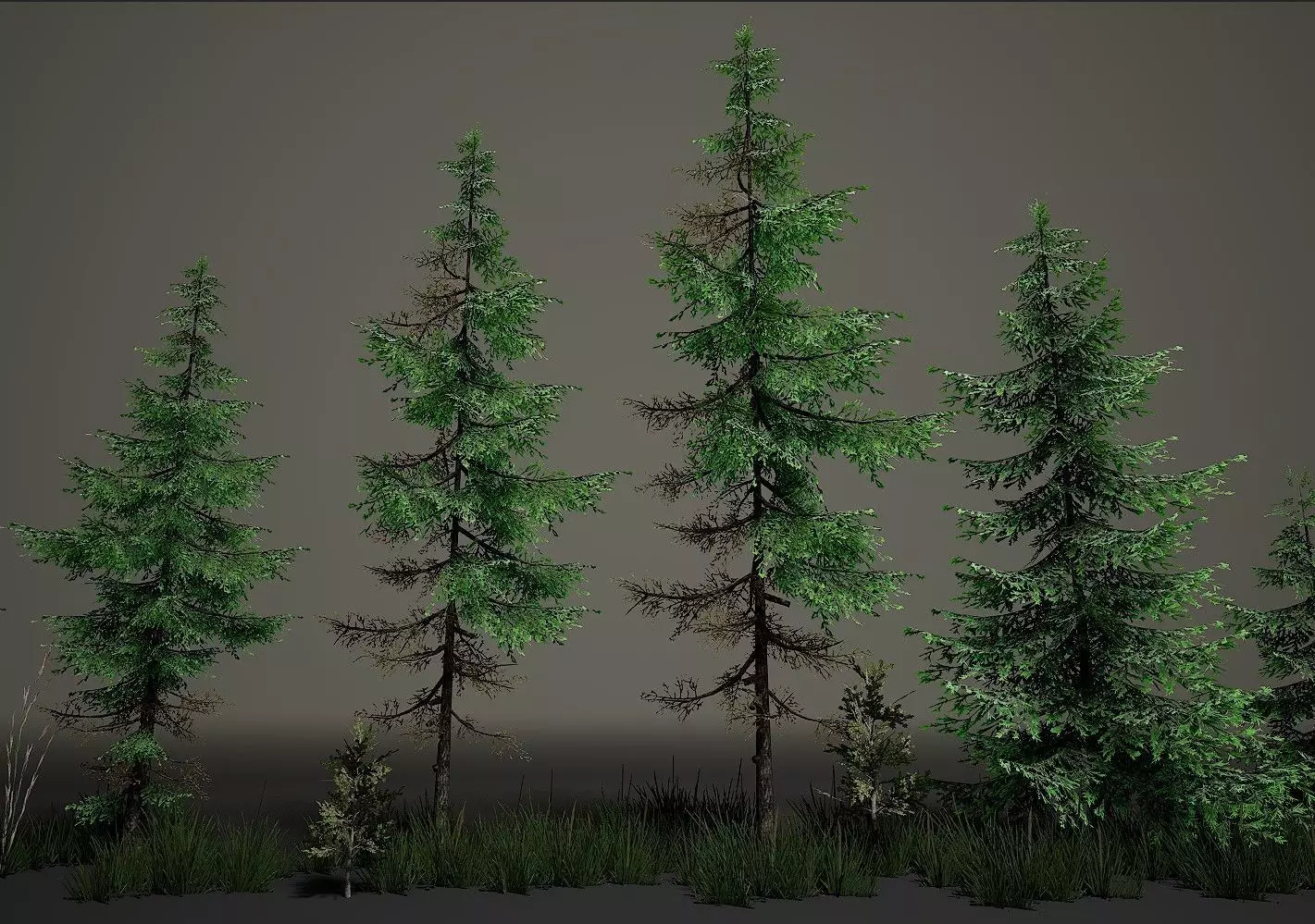 Tree Pine Environment Asset Low-poly 3D model