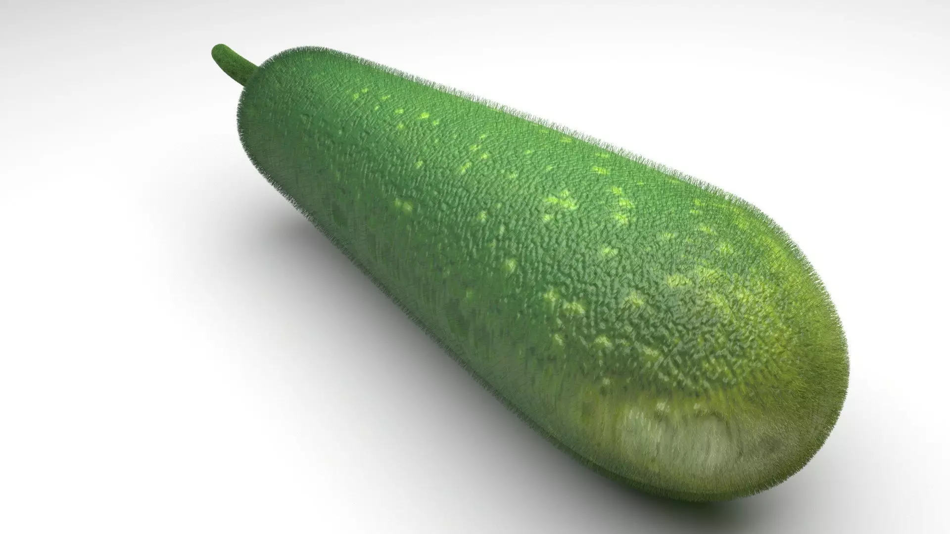 Wax Gourd 3D model