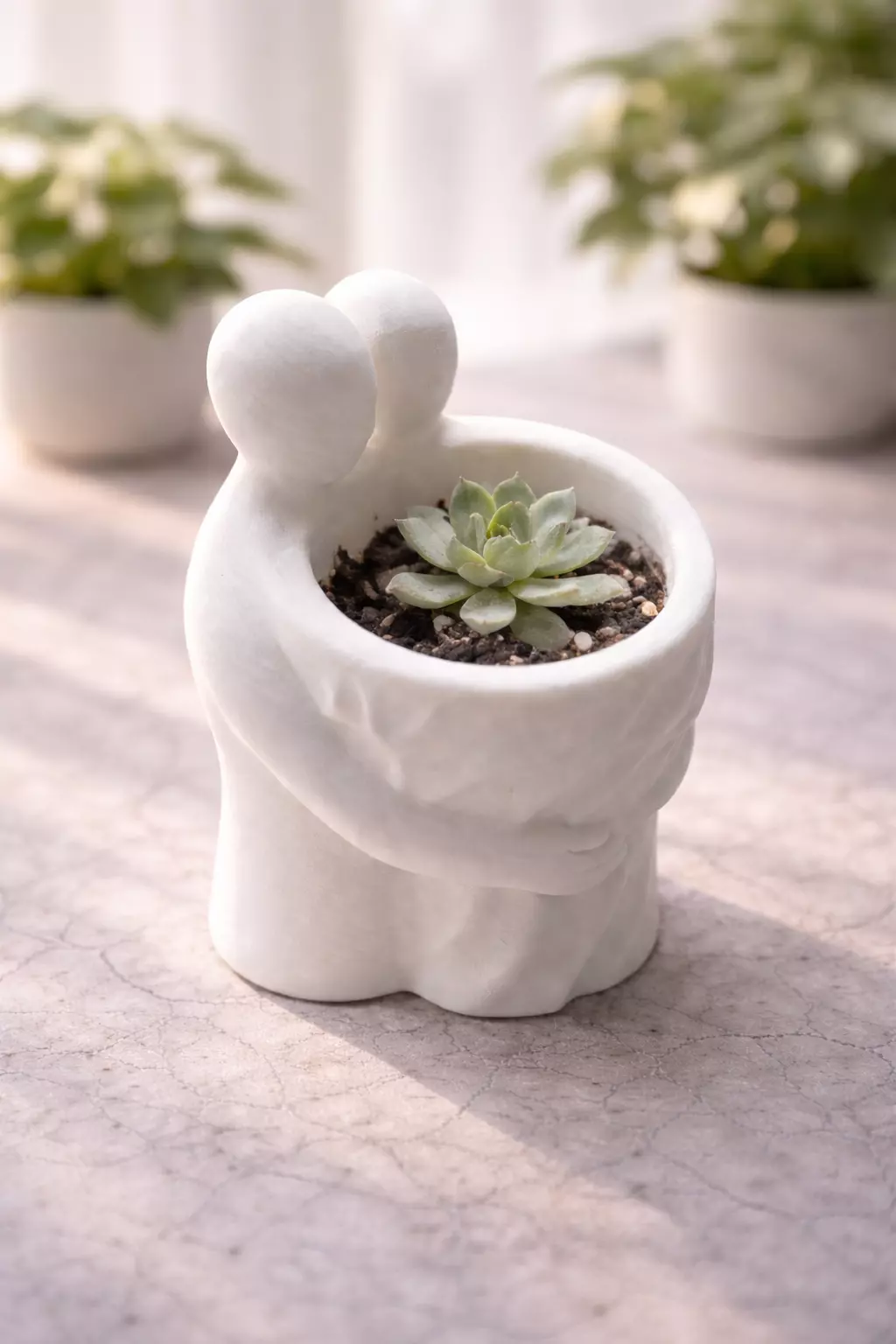 Couple Succulent Planter Modern Home Decor 3d printable stl 3D print model