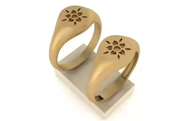 3- modern ring with 2type in 1 file 