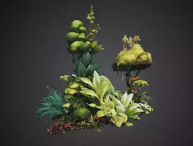 Tropical foliage 3D model Nature Plants Botanical Designs  Low-poly 3D model 4