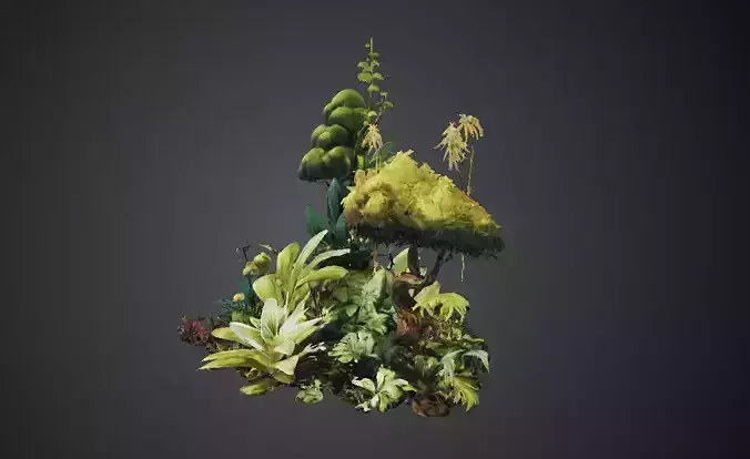 Tropical foliage 3D model Nature Plants Botanical Designs  Low-poly 3D model 3