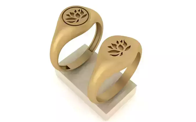 5-Modern Ring with 2type in 1 file 