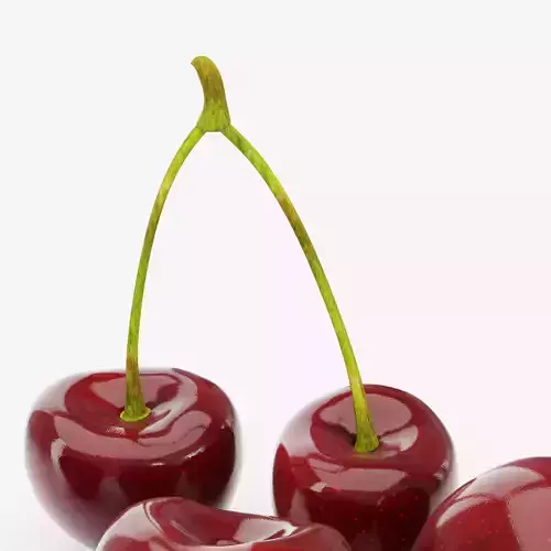 Realistic Cherries Fruit Set 3D Model Low-poly 3D model 6