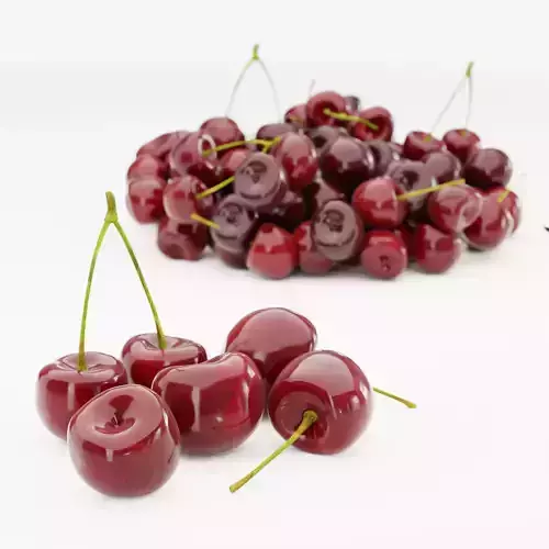 Realistic Cherries Fruit Set 3D Model Low-poly 3D model