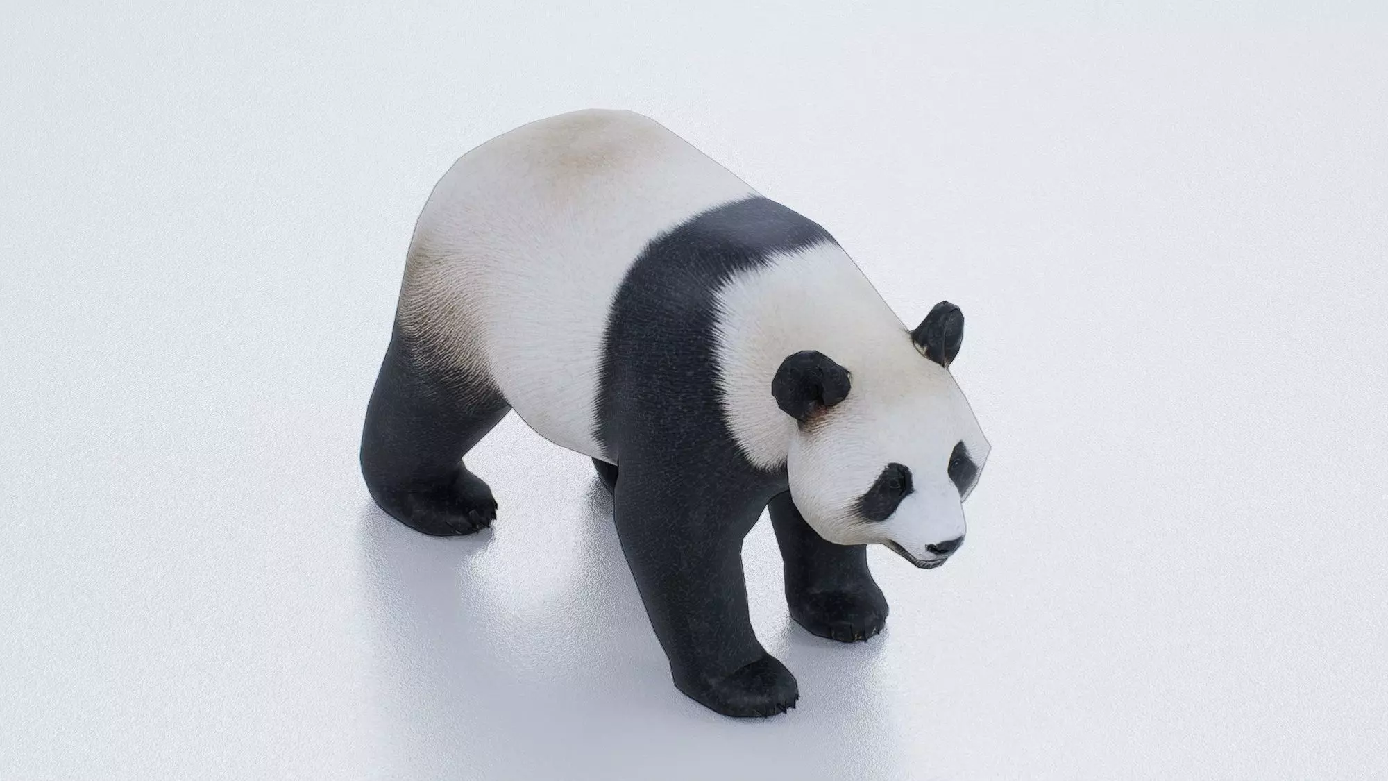 Panda Low-poly 3D model