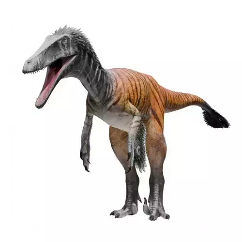 Austroraptor - Dinosaur