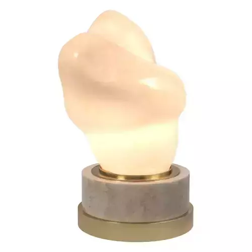 Sculptural Onyx Table Lamp - Organic Stone Form with Brass Base