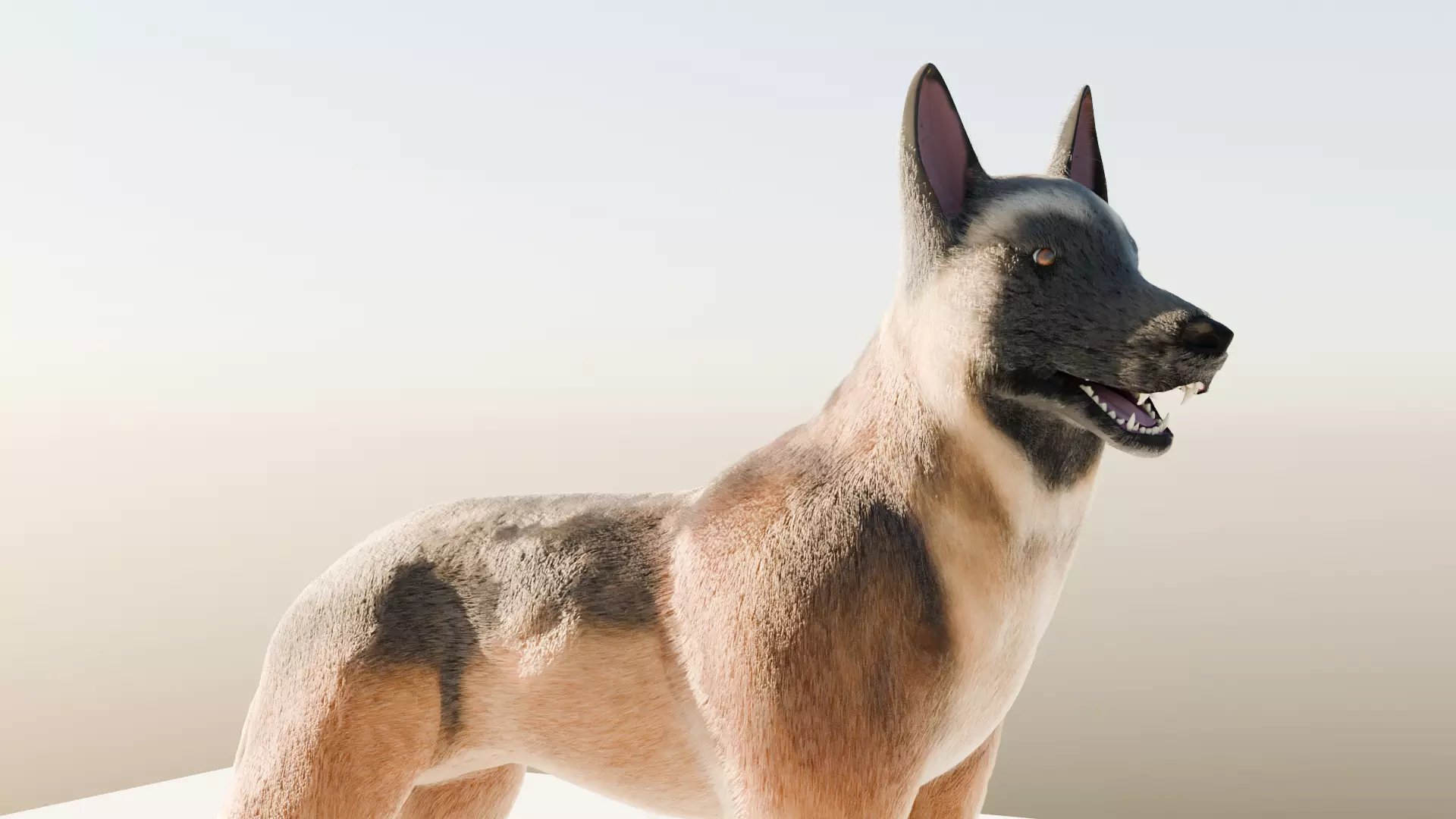 DOG BELGIAN MALINOIS 3D MODEL Low-poly 3D model