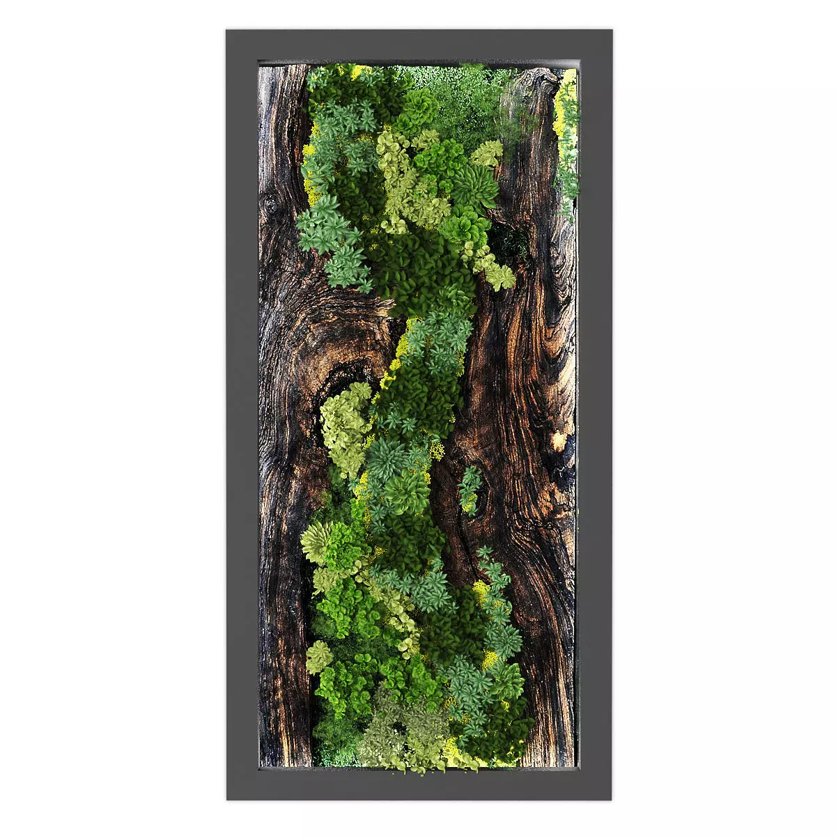 Vertical garden 277 3D model