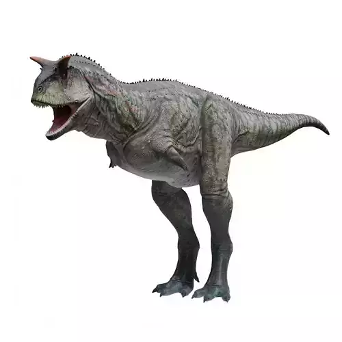 Carnotaurus - Dinosaur