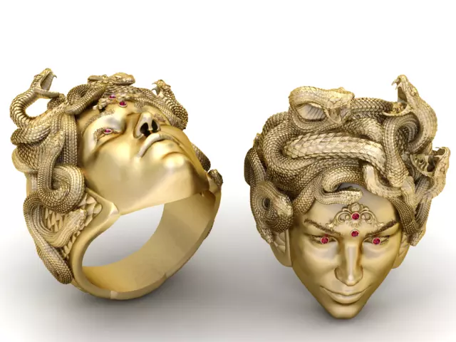 Silver Medusa Serpent Crown Head Sculpt 3D print model