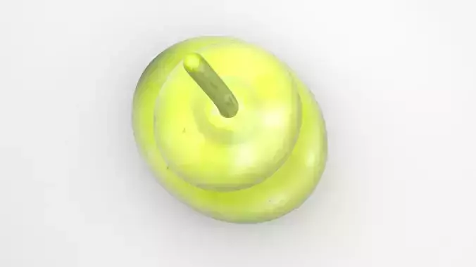 Calabash 3D model 4