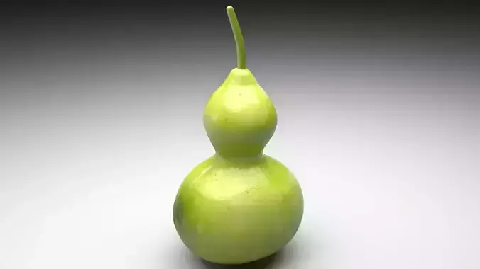 Calabash 3D model 3