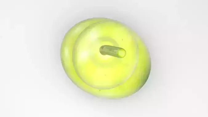 Calabash 3D model 2