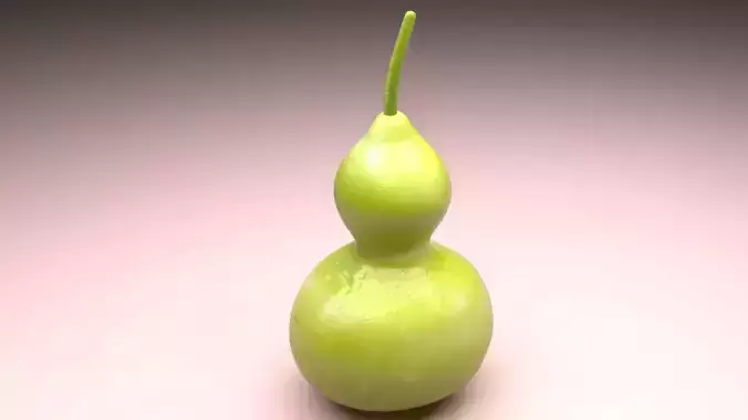 Calabash 3D model 7