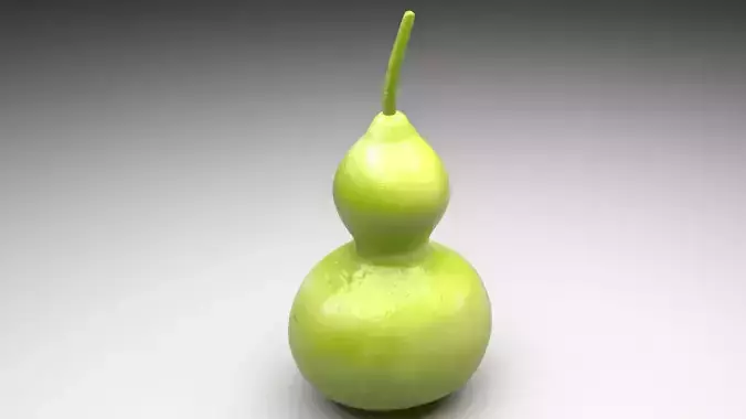 Calabash 3D model 6