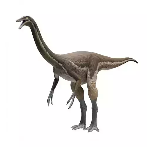 Gallimimus - Dinosaur