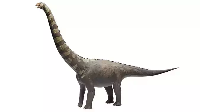 Puertasaurus - Dinosaur