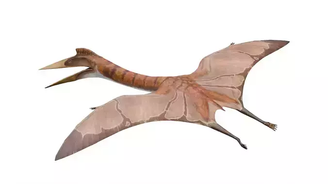 Quetzalcoatlus - Dinosaur