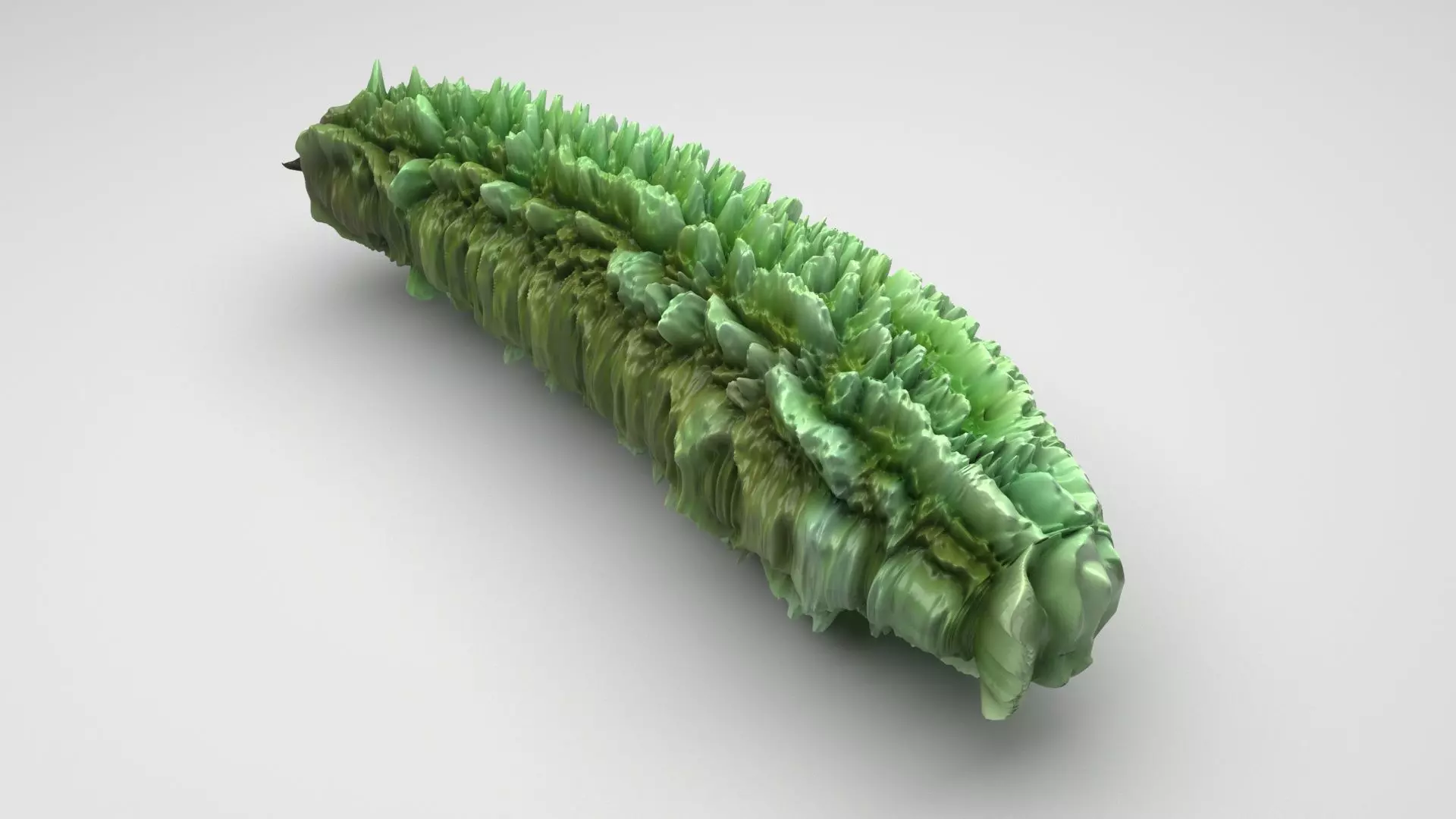 Bitter Gourd 3D model