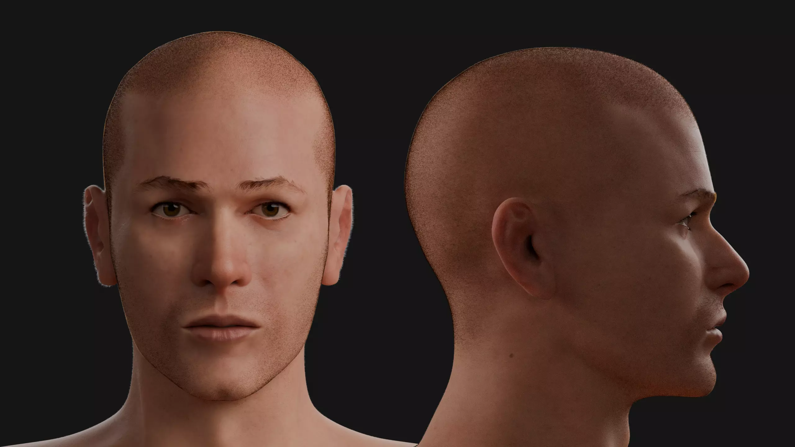 Male Human Body - Base Mesh 3D Model 3D model