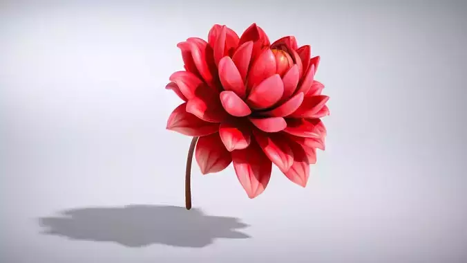 3D model Vibrant Flower Model Pack VR / AR / low-poly | CGTrader