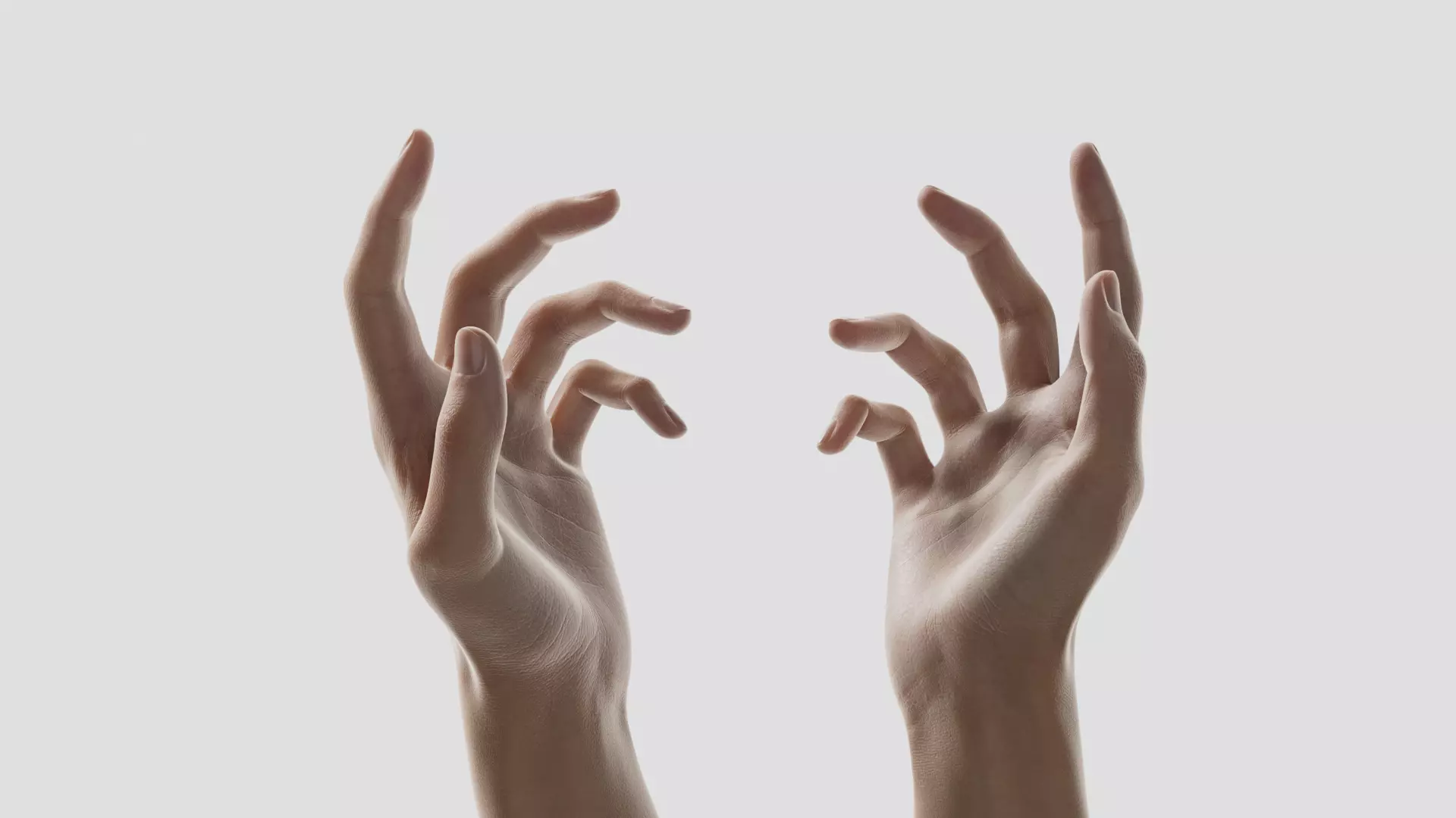 Two hand bone binding model 3D model