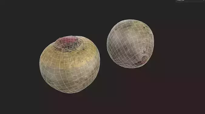 Beet  M05 Low-poly 3D model 2