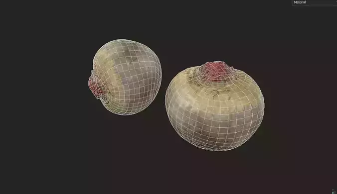 Beet  M05 Low-poly 3D model 7