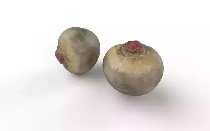 Beet  M05 Low-poly 3D model 6