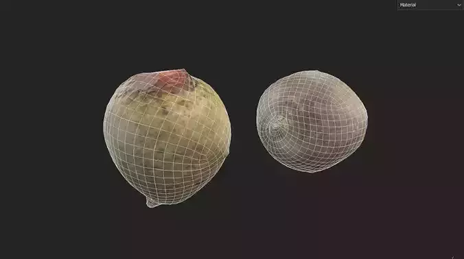 Beet  M06 Low-poly 3D model 2