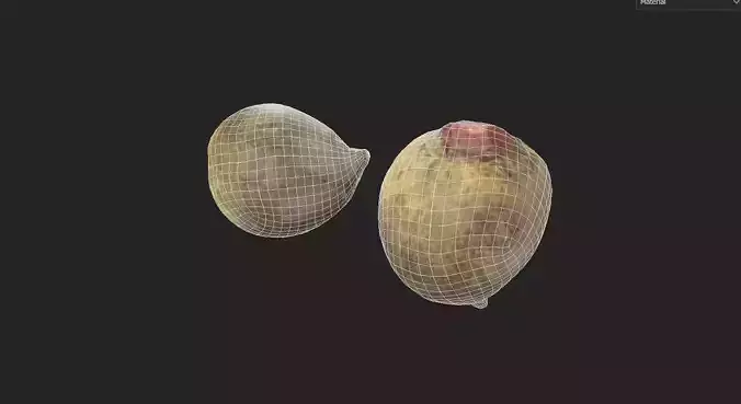 Beet  M06 Low-poly 3D model 7