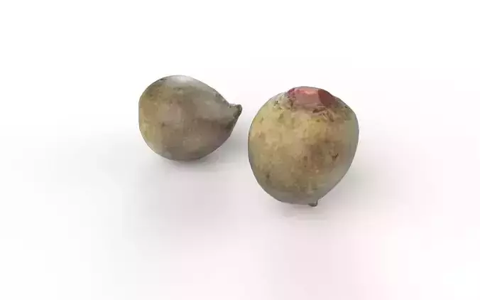 Beet  M06 Low-poly 3D model 6