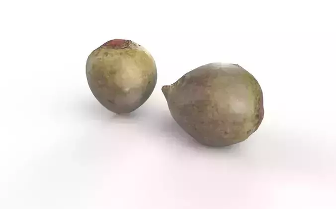 Beet  M06 Low-poly 3D model 4