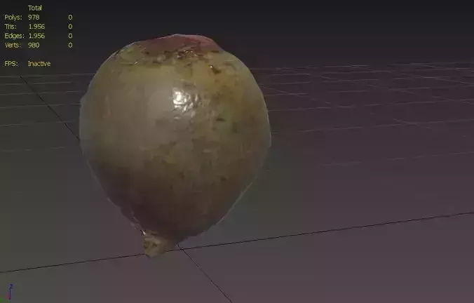 Beet  M06 Low-poly 3D model 3