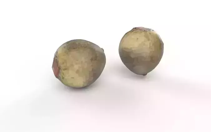 Beet  M06 Low-poly 3D model 5