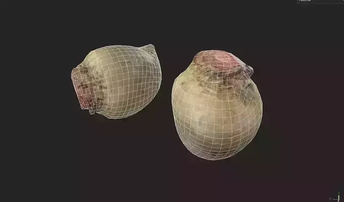 Beet  M07 Low-poly 3D model 7
