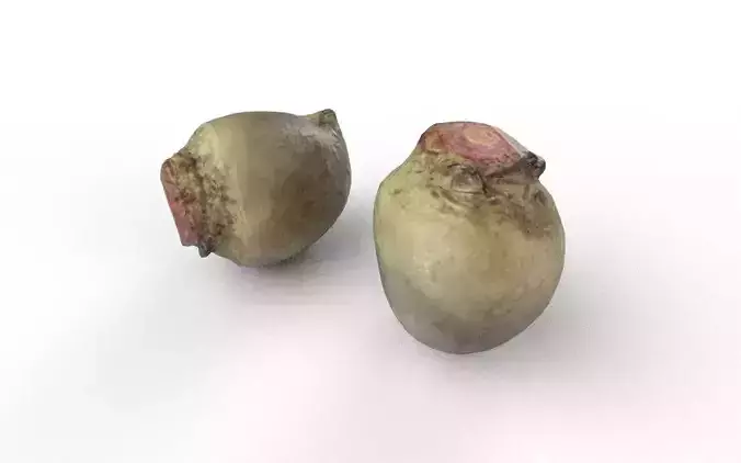 Beet  M07 Low-poly 3D model 6
