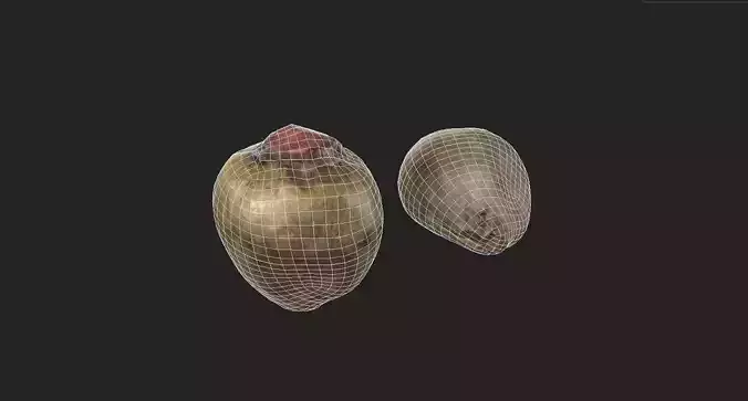 Beet  M08 Low-poly 3D model 2
