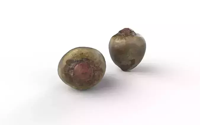 Beet  M08 Low-poly 3D model 5