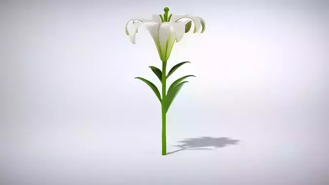 Flower Low poly 3D model | CGTrader