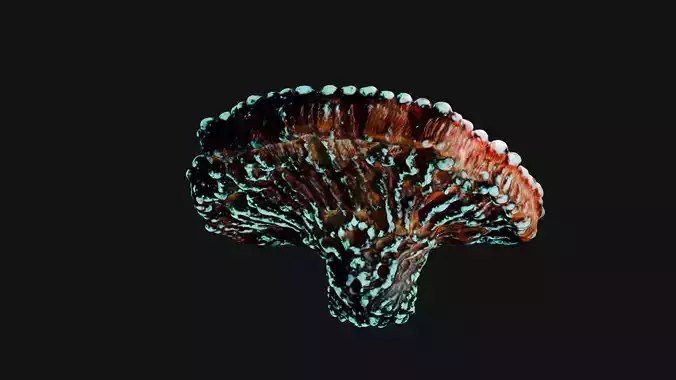 Growing Glowing Alien Mushroom Low-poly 3D model 6