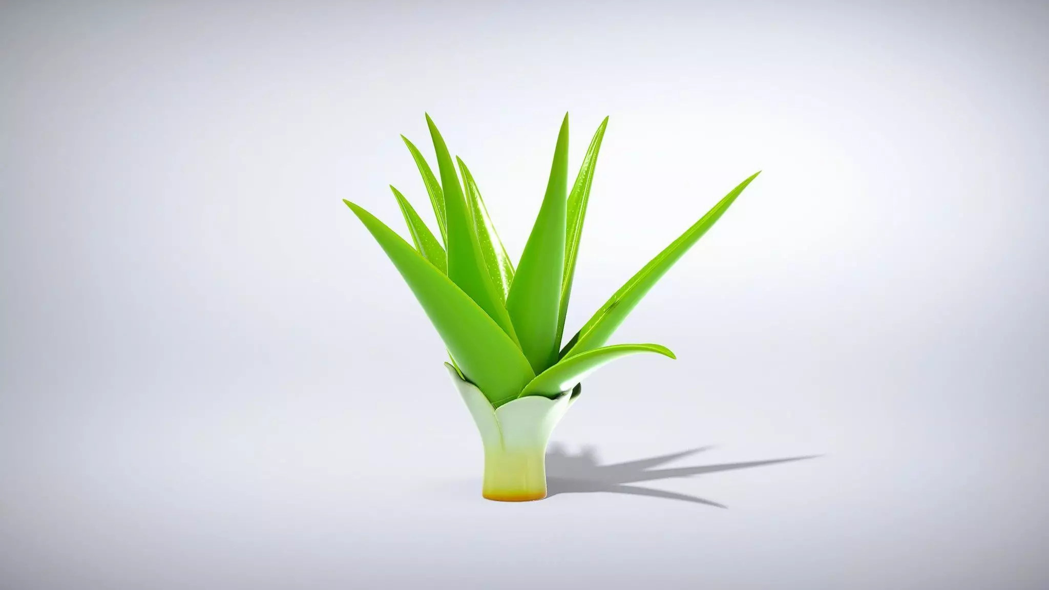 Vibrant Aloe Vera Plant Low-poly 3D model