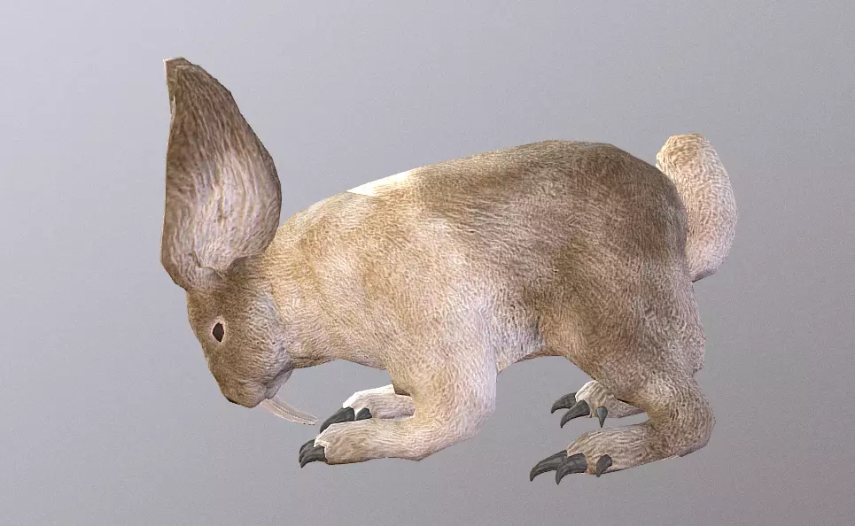 RABBIT HYGIENE SMELLING IDLING Fbx Pbr Animated 3D model