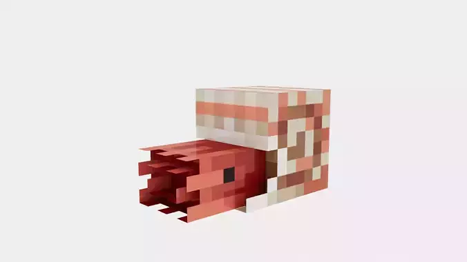 NAUTILUS BABY Base Minecraft