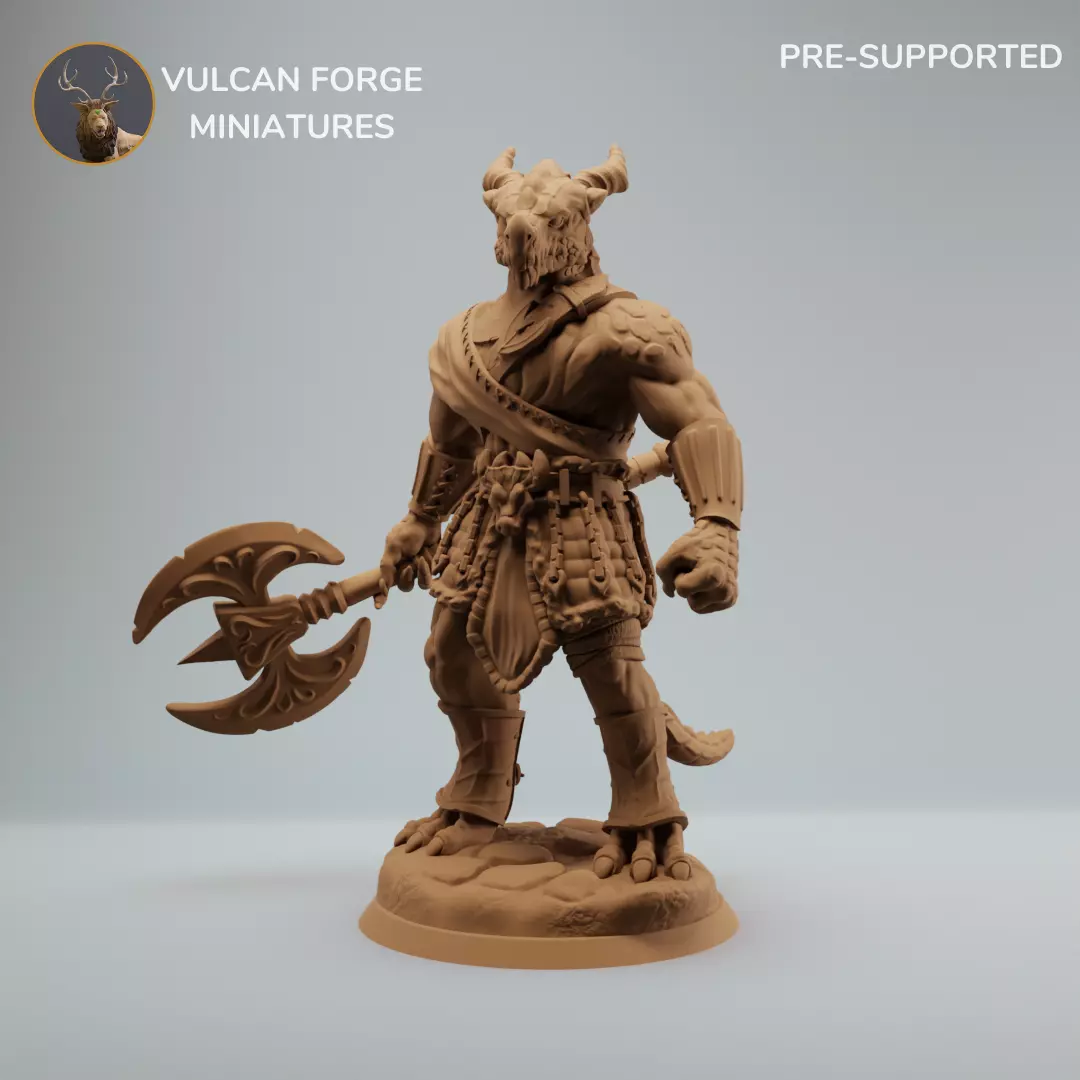 Dragonborn Barbarian Dragonborn warrior with axe 3D print model