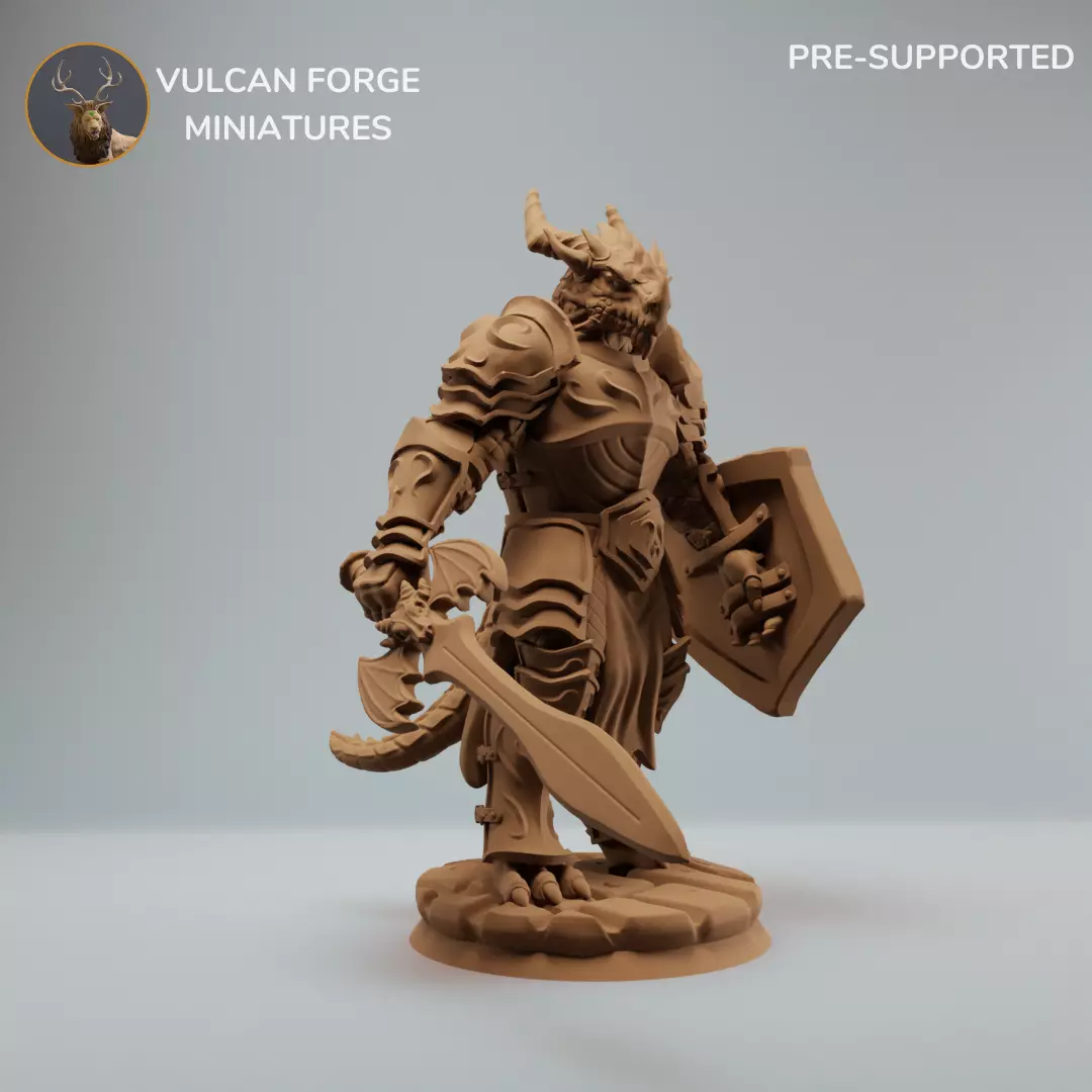 Dragonborn Paladin 3D print model
