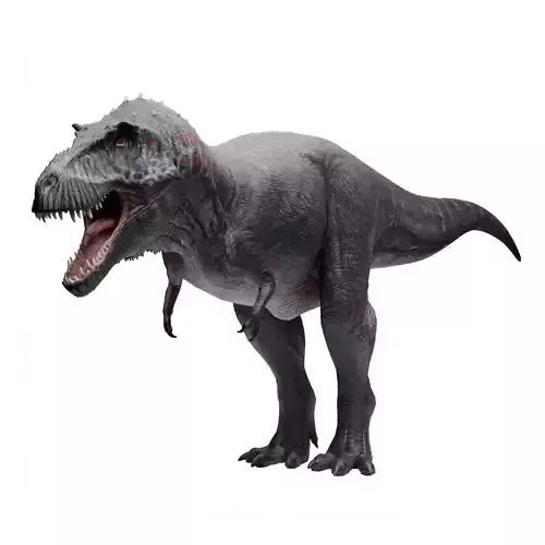 Tyrannosaurus - Dinosaur